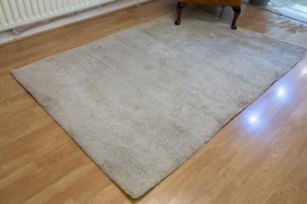Photo of free Rug to give away (Tollerton NG12) #2