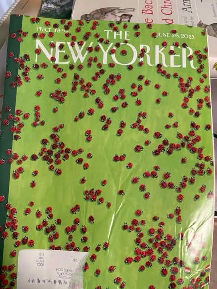 Photo of free New Yorker magazine Back issues (Oakland) #1