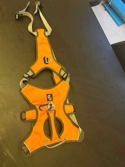 Photo of free Dog harness (South Woodford) #1
