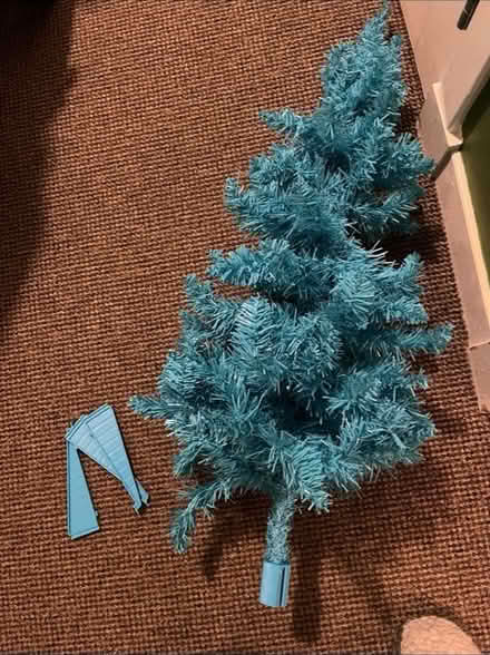 Photo of free Blue tree (Cannonmills EH7) #1