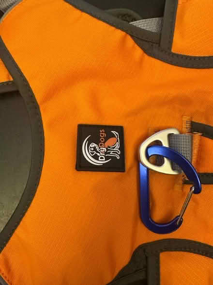 Photo of free Dog harness (South Woodford) #2