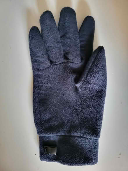 Photo of free Right hand glove large (Splott, CF24) #2