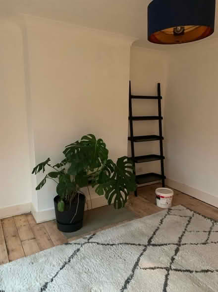 Photo of free La Redoute Marrakech rug (GU21 4) #2