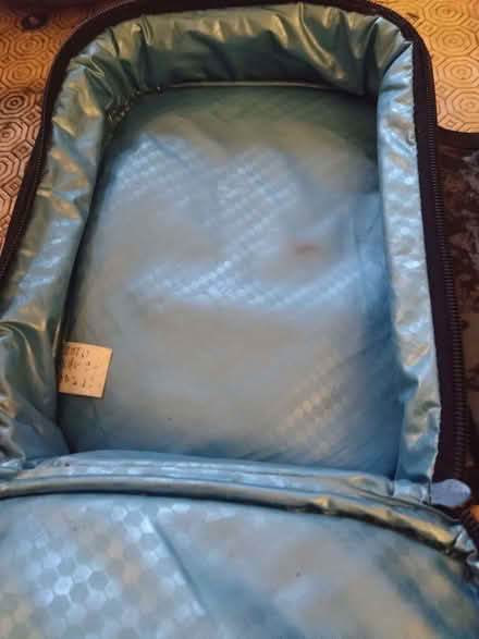 Photo of free Dinosaur thermal lunchbag (Chellaston DE73) #2