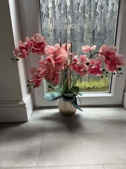 Photo of free Artificial plant (Pooley Green TW20) #1