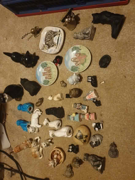 Photo of free China Cat Collection (Trowbridge BA14) #1