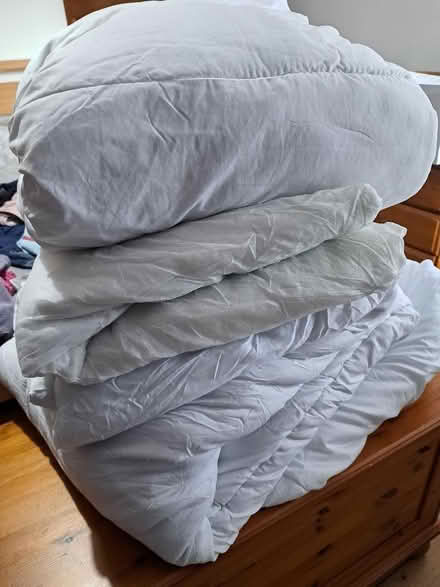 Photo of free 4 Double Quilts - Dog Bed liners? (Kendal LA9) #1