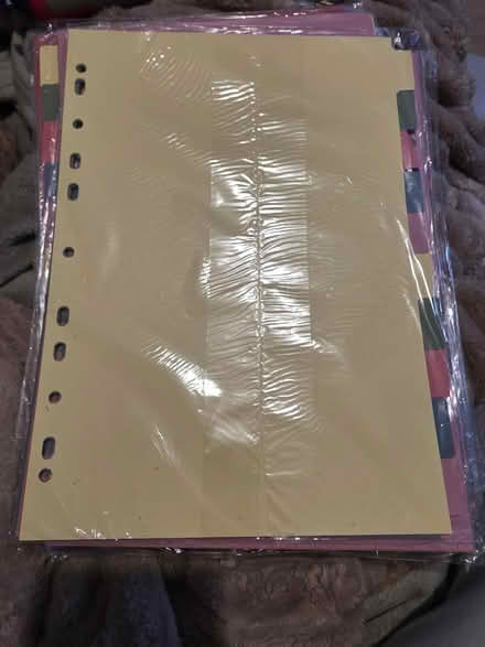 Photo of free 10 packs of folder dividers (Luton LU2) #1