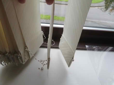 Photo of free Verical blind (SW Horsham) #3