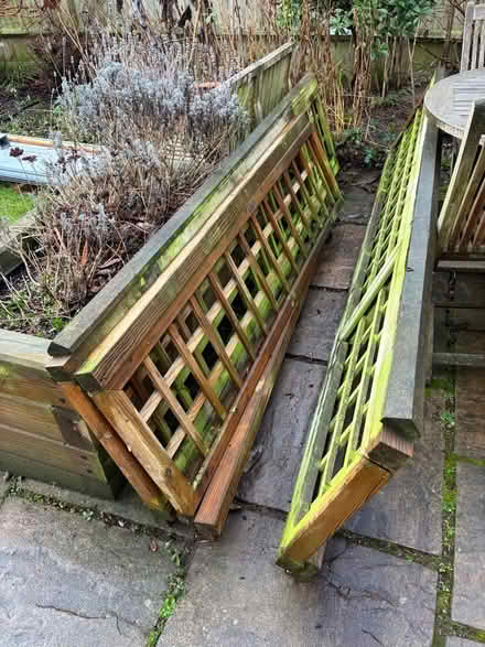 Photo of free Fence trellis panels and capping. (Teddington TW11) #2