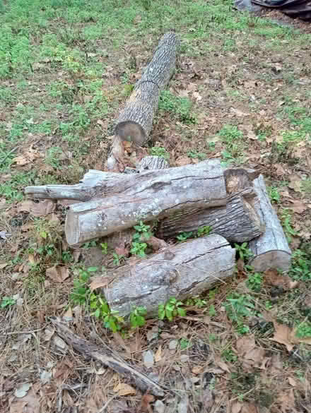 Photo of free firewood (Hwy 20 @ Capital Cir) #1