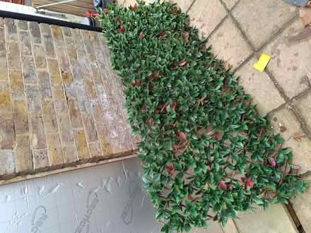 Photo of free Faux decorative plants (Gillingham ME7) #2