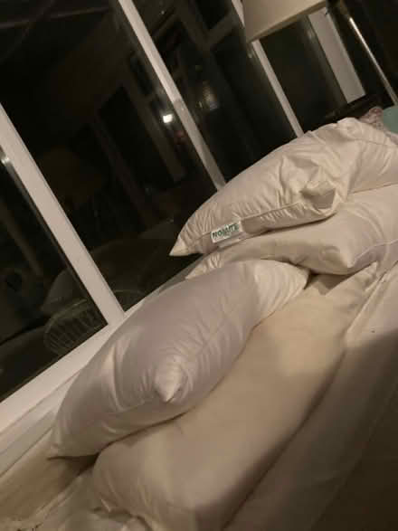 Photo of free 4 feather pillows for reuse (Wooburn Green, HP10) #3