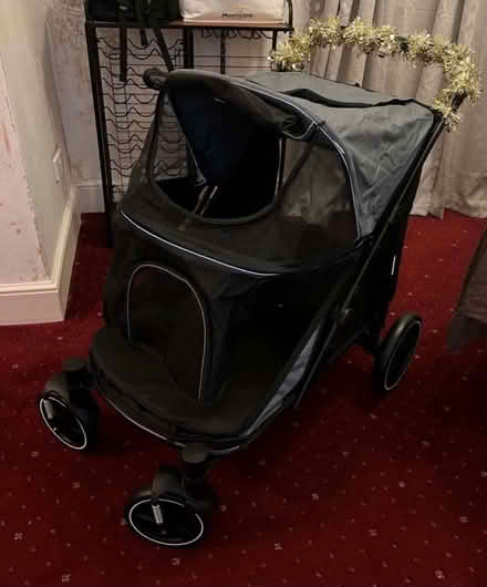 Photo of Dog stroller for newly rescue while recovering from IVDD (Balloch G83) #2