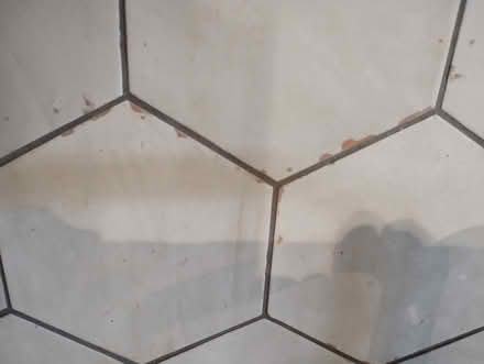 Photo of free Kitchen tiles - hexagonal white (Walcot) #4