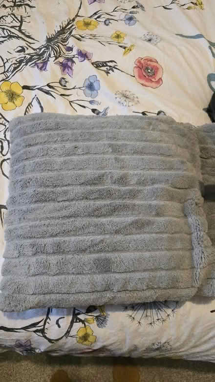Photo of free 2 grey cushions (Bellingham SE6) #1