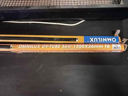 Photo of free Professional grade back lights (Lambs Green RH12) #3