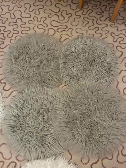 Photo of free Faux fur items (Penylan CF23) #4