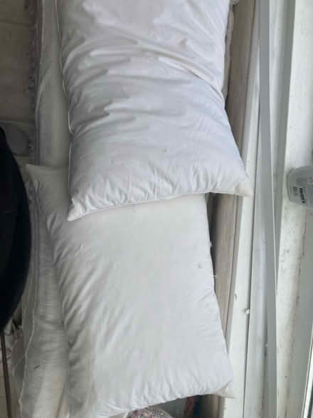 Photo of free 4 feather pillows for reuse (Wooburn Green, HP10) #2