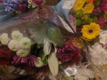 Photo of free Flowers (Loughton IG10) #1