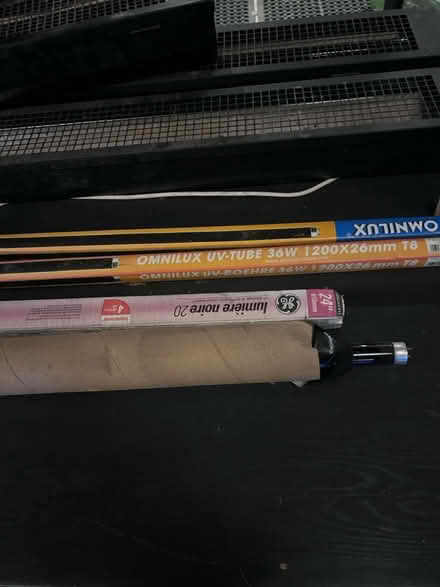 Photo of free Professional grade back lights (Lambs Green RH12) #1