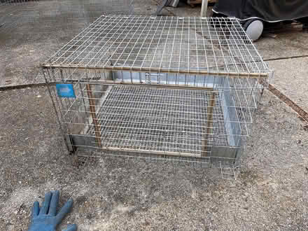 Photo of free Bunny Rabbit Cages/Enclosure (Dimond area of Oakland) #1