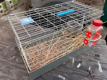 Photo of free Bunny Rabbit Cages/Enclosure (Dimond area of Oakland) #3