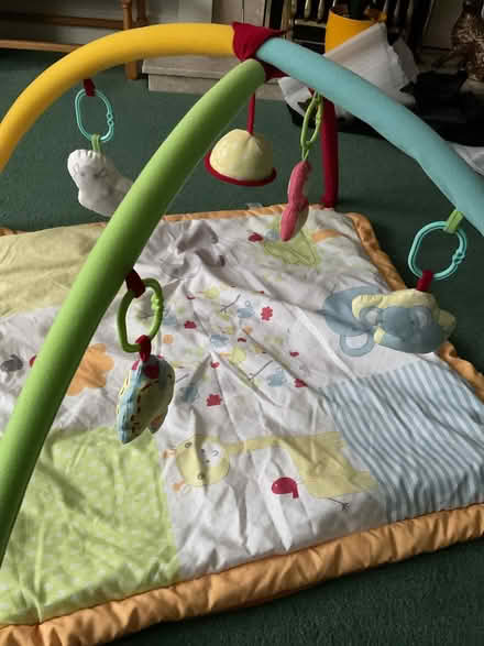 Photo of free Baby gym mat (Orpington) #2