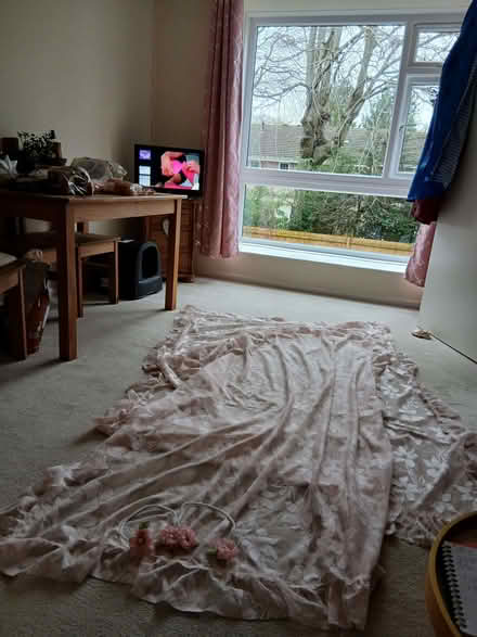 Photo of free One pair (2) pink lacy sparkly net curtains. 55x 80inch drp (Bournemouth BH1) #1