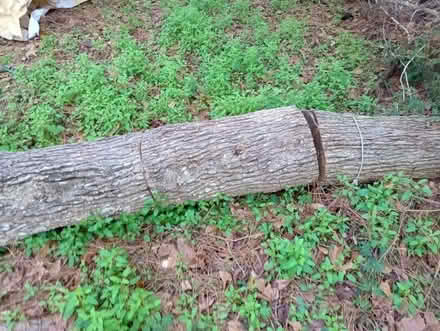 Photo of free firewood (Hwy 20 @ Capital Cir) #3