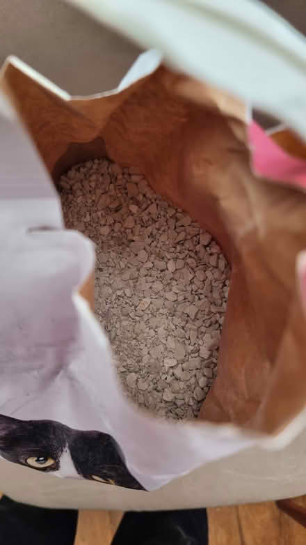 Photo of free Cat litter (Ilford) #2