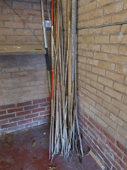 Photo of free Garden Bamboo canes and stakes (Carlton NG3) #1
