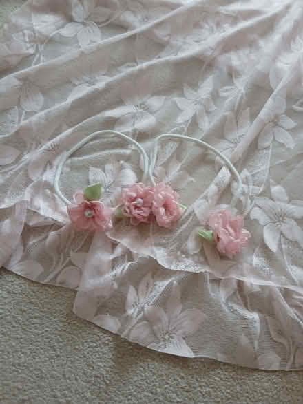 Photo of free One pair (2) pink lacy sparkly net curtains. 55x 80inch drp (Bournemouth BH1) #2