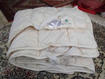 Photo of free King size organic wool mattress pad (Newark, off London Rd) #1