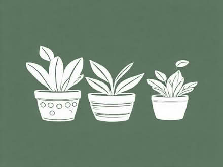 Photo of free Plant pots (St Leonards Green TN38) #3