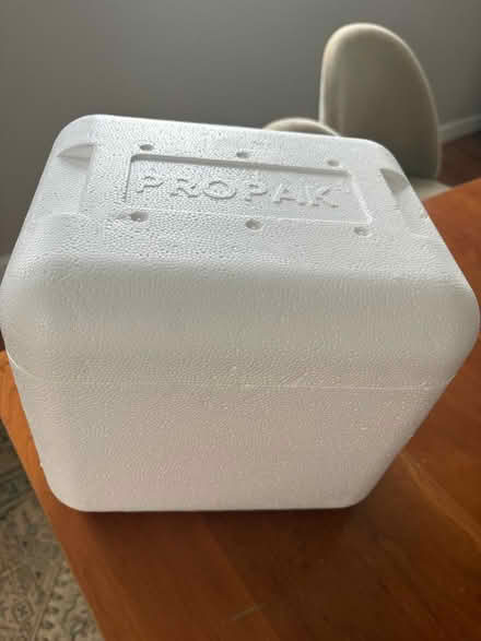 Photo of free Small styrofoam coolers (7) (Bethesda) #1