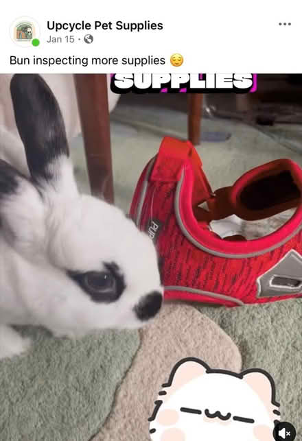 Photo of Lightly Used pet supplies (Wakefield) #2