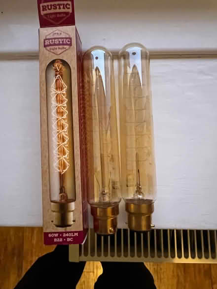 Photo of free 2 Decorative Light Bulbs 60W 240 lumens B22 (large bayonet) (Clarkston G76) #1