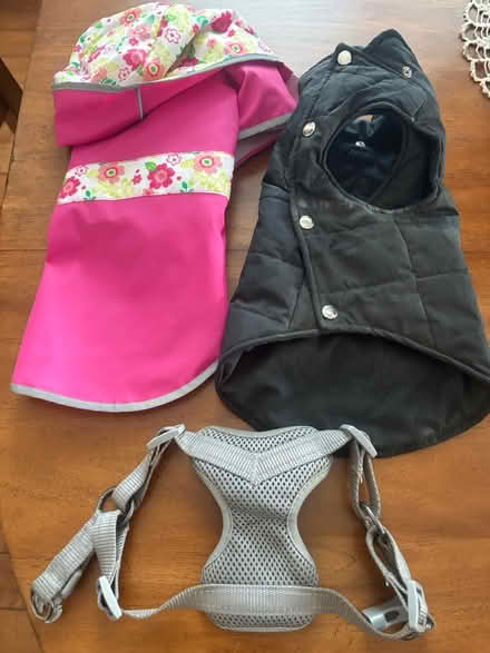 Photo of free Dog raincoats and harness (Starbucks on Foxworthy/Plummer) #1