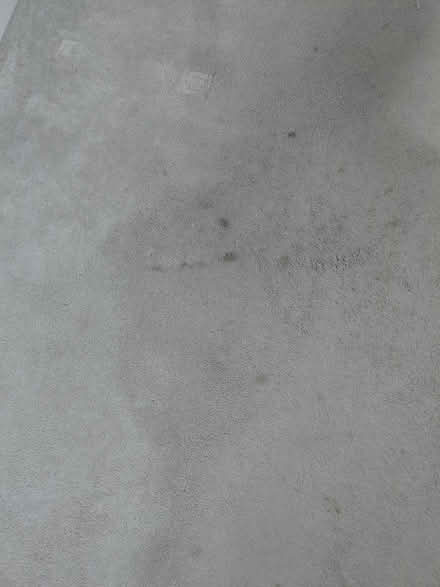 Photo of free Bedroom carpet (Brandon, Coventry) #2