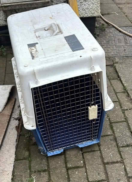 Photo of free Animal travel crate (TA219HX) #1