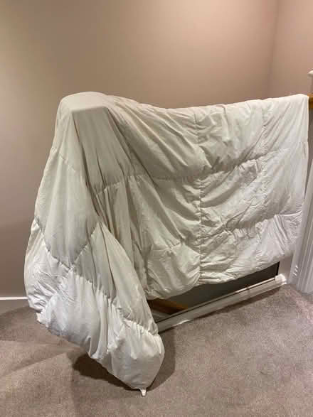 Photo of free Double feather and down duvet (Walton on Thames) #1
