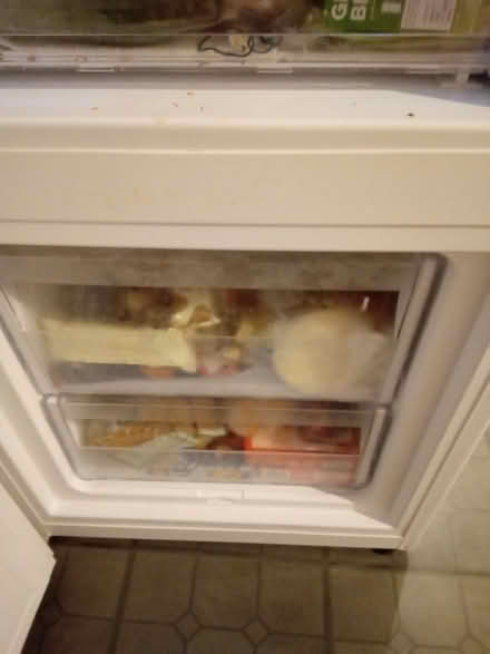 Photo of free Fridge freezer (Orton Goldhay) #3