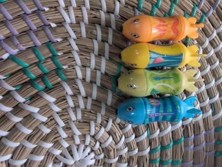 Photo of free Little swimming pool things (yapton) #1