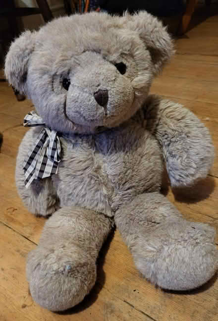 Photo of free Teddy in need of a new home (Osney OX2) #1