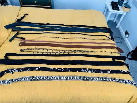 Photo of free Women’s belts (High Wycombe HP10) #2