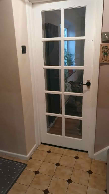 Photo of free 2 x Oak interior doors (Letchworth SG6) #2