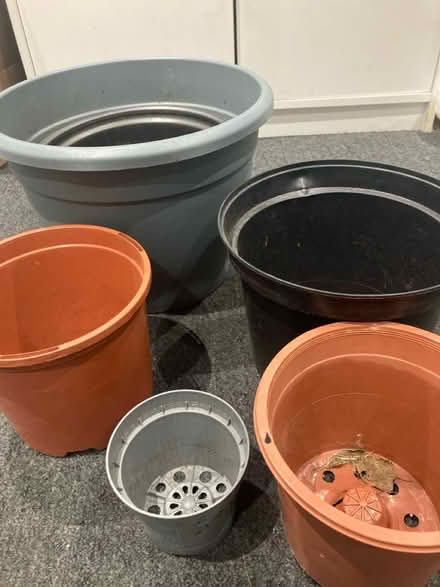 Photo of free pots n rich soil (Edgware) #1