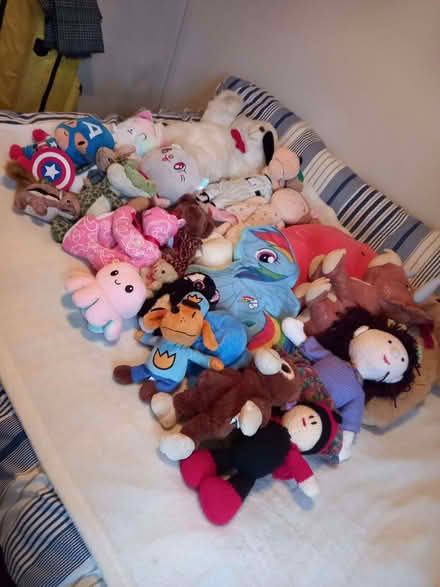 Photo of free lots of soft toys (Southwick BN42) #2