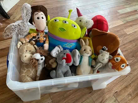 Photo of free Assorted teddy bears (Finchley N3) #1